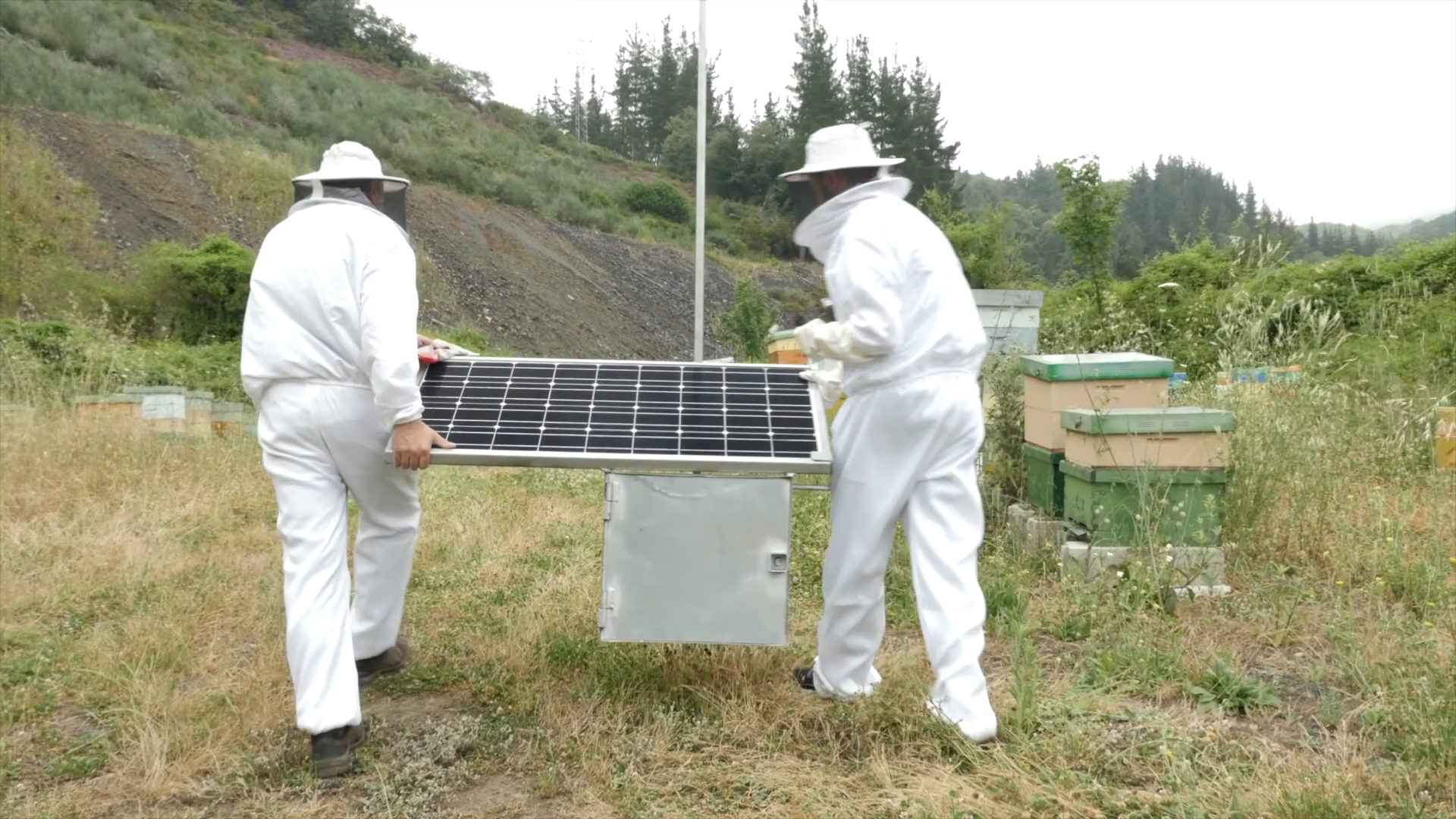 trabajo con drones miel